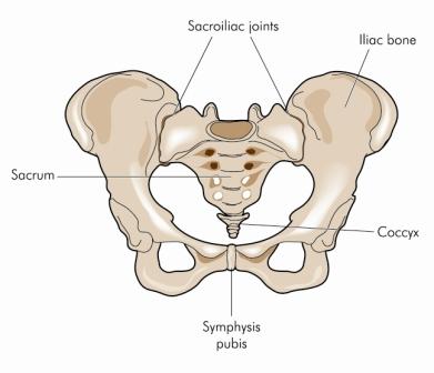 What are the symptoms of a fractured pelvis?